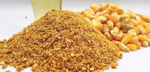 دکتر مجید طغیانی خوراسگانی